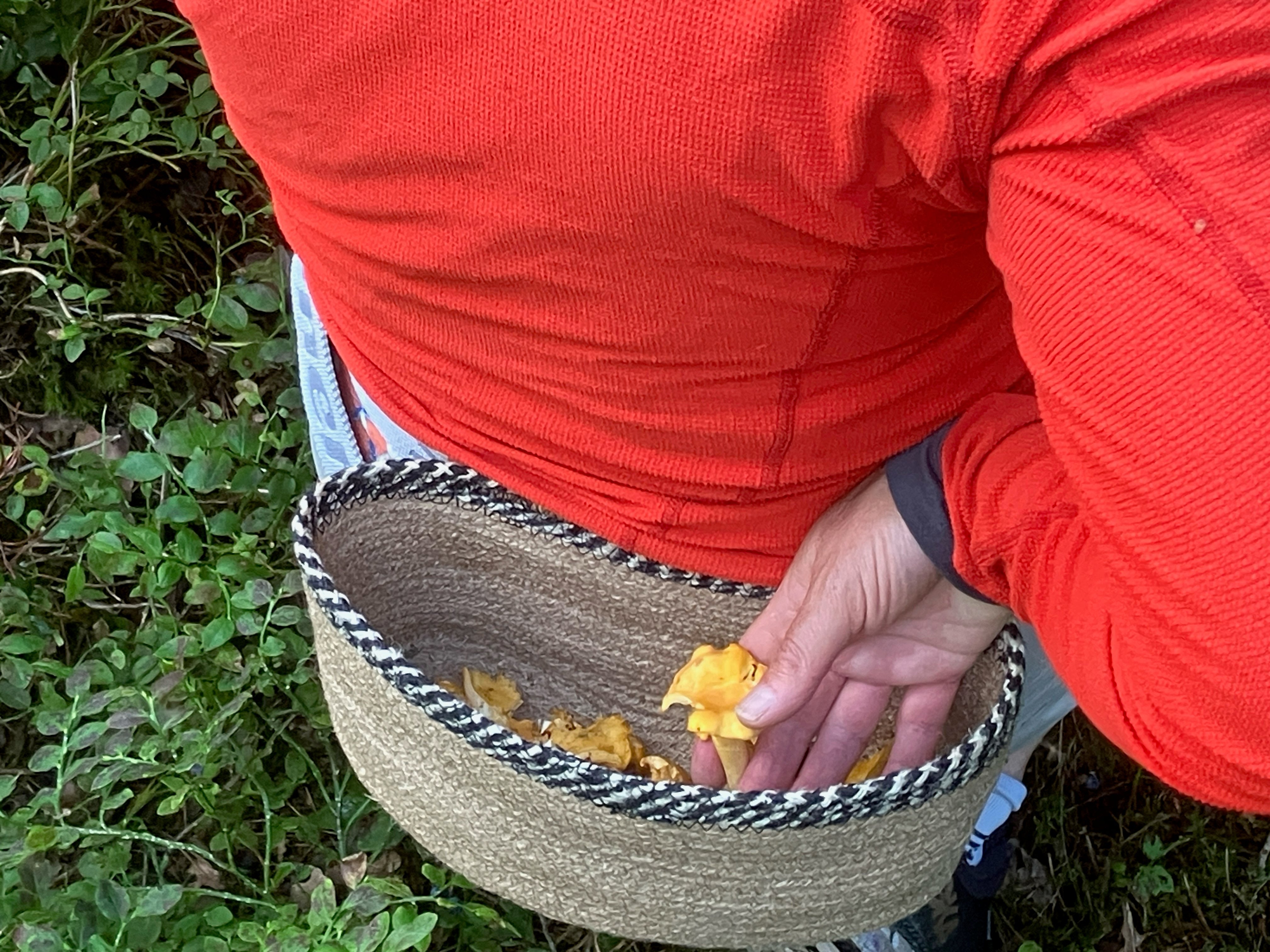 Collect materialficka / svamp- och bärkorg med bältesrem