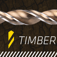 Alpen Timber Twist PTM 5 - Kassett med 5 st träborrar, diameter 4.0 - 10.0 mm